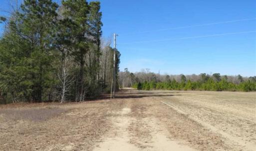 Photo of 110 Acres of Farm and Timber Land For Sale in Columbus County NC!