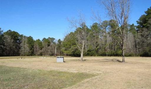 Photo of 110 Acres of Farm and Timber Land For Sale in Columbus County NC!