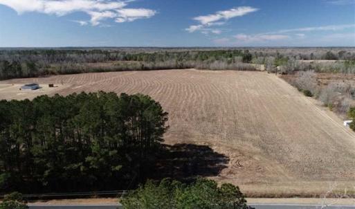 Photo of 110 Acres of Farm and Timber Land For Sale in Columbus County NC!