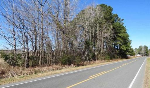 Photo of 110 Acres of Farm and Timber Land For Sale in Columbus County NC!