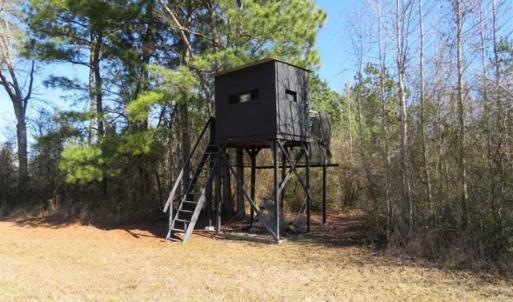 Photo of 110 Acres of Farm and Timber Land For Sale in Columbus County NC!