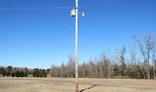 Photo of 110 Acres of Farm and Timber Land For Sale in Columbus County NC!