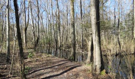 Photo of 110 Acres of Farm and Timber Land For Sale in Columbus County NC!