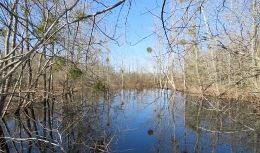Photo of 110 Acres of Farm and Timber Land For Sale in Columbus County NC!