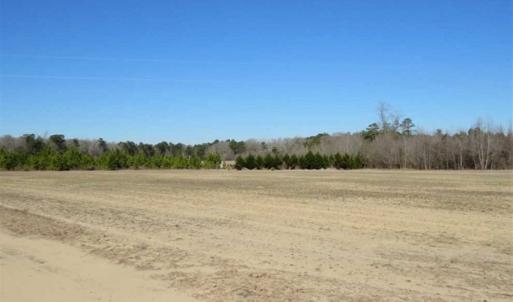 Photo of 110 Acres of Farm and Timber Land For Sale in Columbus County NC!