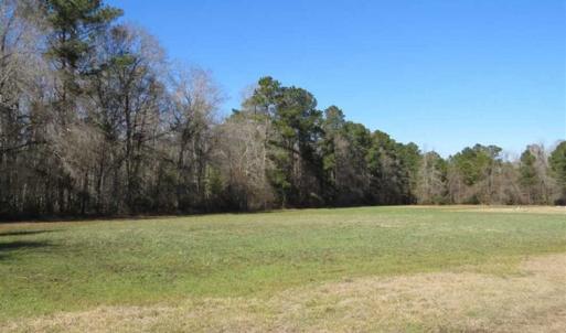 Photo of 110 Acres of Farm and Timber Land For Sale in Columbus County NC!