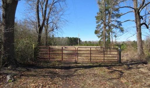 Photo of 110 Acres of Farm and Timber Land For Sale in Columbus County NC!