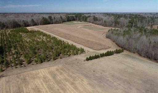 Photo of 110 Acres of Farm and Timber Land For Sale in Columbus County NC!
