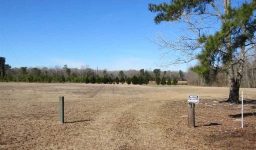 Photo of 110 Acres of Farm and Timber Land For Sale in Columbus County NC!