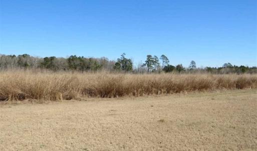 Photo of 110 Acres of Farm and Timber Land For Sale in Columbus County NC!