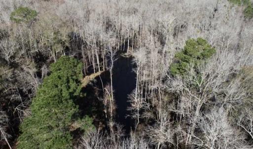 Photo of 110 Acres of Farm and Timber Land For Sale in Columbus County NC!