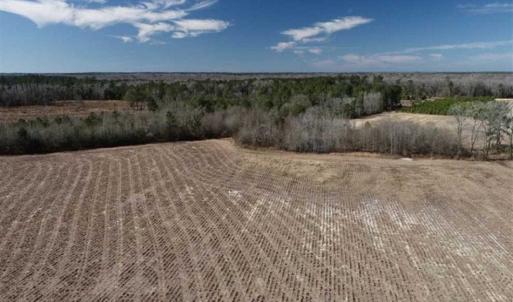 Photo of 110 Acres of Farm and Timber Land For Sale in Columbus County NC!