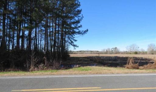 Photo of 110 Acres of Farm and Timber Land For Sale in Columbus County NC!