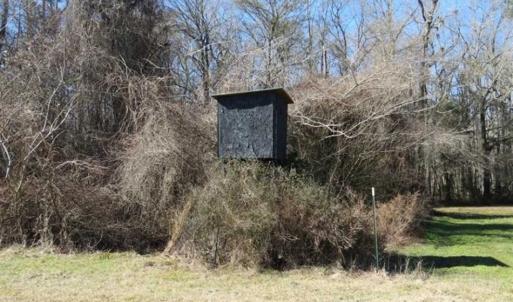 Photo of 110 Acres of Farm and Timber Land For Sale in Columbus County NC!
