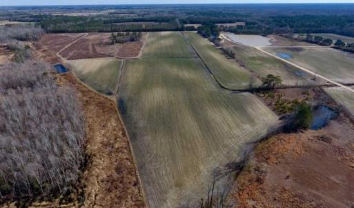 Photo of 201 Acres of Farm and Hunting Land For Sale in Pitt County NC!