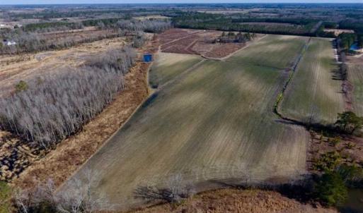 Photo of 201 Acres of Farm and Hunting Land For Sale in Pitt County NC!