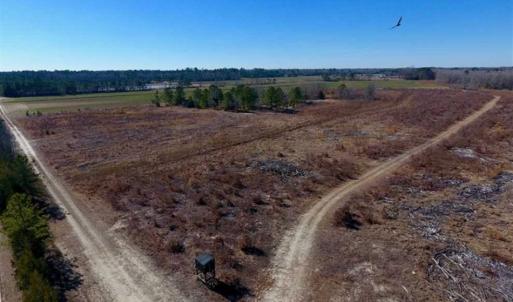 Photo of 201 Acres of Farm and Hunting Land For Sale in Pitt County NC!