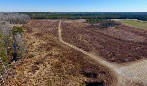 Photo of 201 Acres of Farm and Hunting Land For Sale in Pitt County NC!