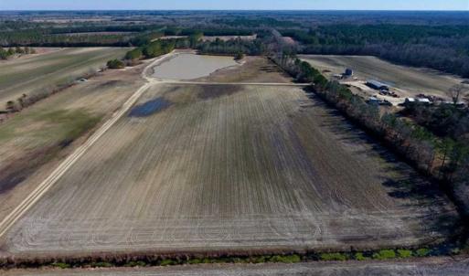 Photo of 201 Acres of Farm and Hunting Land For Sale in Pitt County NC!