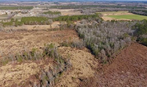 Photo of 201 Acres of Farm and Hunting Land For Sale in Pitt County NC!