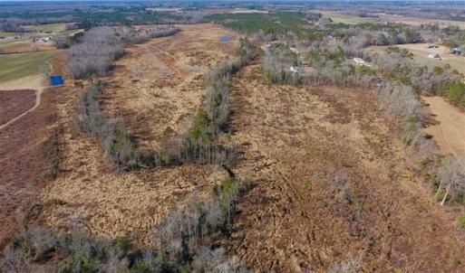 Photo of 201 Acres of Farm and Hunting Land For Sale in Pitt County NC!