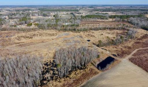 Photo of 201 Acres of Farm and Hunting Land For Sale in Pitt County NC!