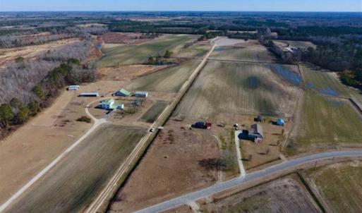 Photo of 201 Acres of Farm and Hunting Land For Sale in Pitt County NC!
