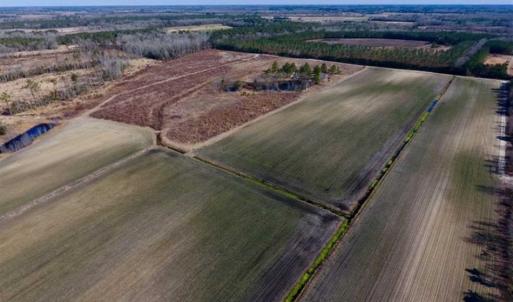 Photo of 201 Acres of Farm and Hunting Land For Sale in Pitt County NC!
