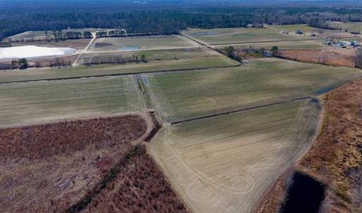 Photo of 201 Acres of Farm and Hunting Land For Sale in Pitt County NC!