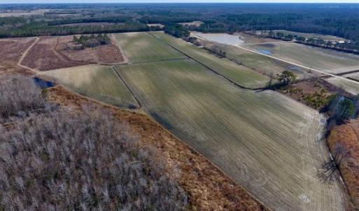 Photo of 201 Acres of Farm and Hunting Land For Sale in Pitt County NC!