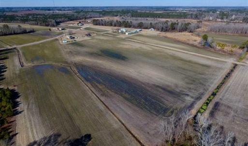 Photo of 201 Acres of Farm and Hunting Land For Sale in Pitt County NC!
