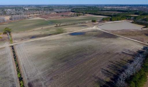 Photo of 201 Acres of Farm and Hunting Land For Sale in Pitt County NC!
