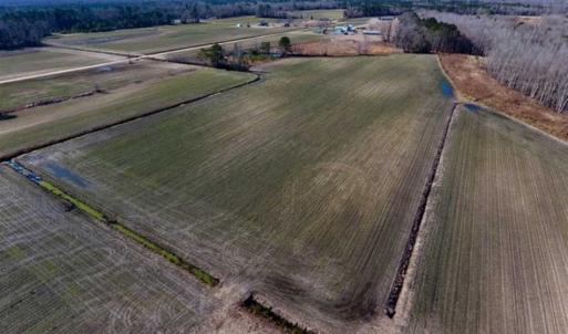 Photo of 201 Acres of Farm and Hunting Land For Sale in Pitt County NC!