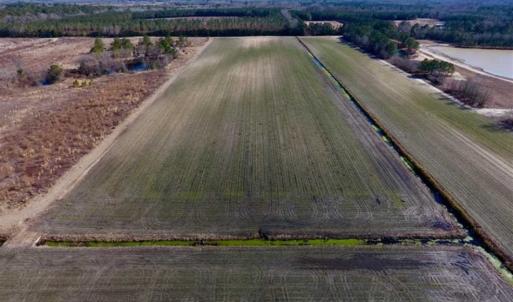 Photo of 201 Acres of Farm and Hunting Land For Sale in Pitt County NC!
