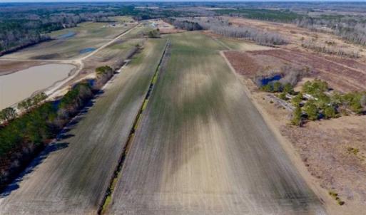Photo of 201 Acres of Farm and Hunting Land For Sale in Pitt County NC!