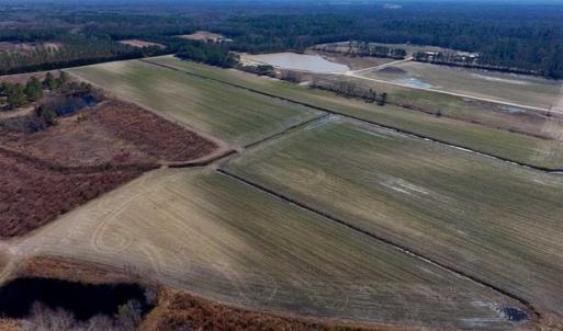 Photo of 201 Acres of Farm and Hunting Land For Sale in Pitt County NC!