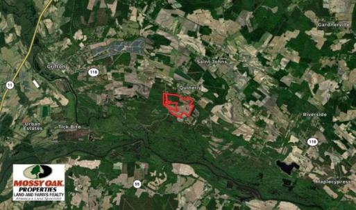 Photo of 201 Acres of Farm and Hunting Land For Sale in Pitt County NC!