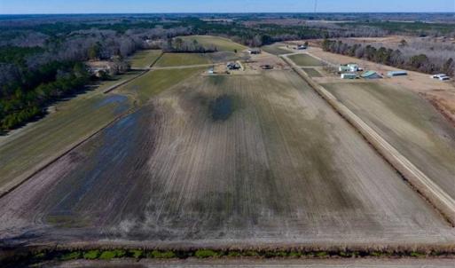 Photo of 201 Acres of Farm and Hunting Land For Sale in Pitt County NC!