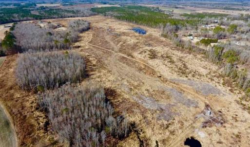 Photo of 201 Acres of Farm and Hunting Land For Sale in Pitt County NC!