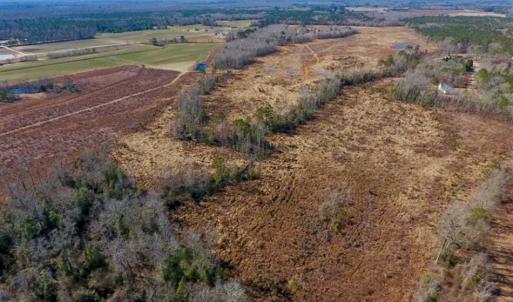 Photo of 201 Acres of Farm and Hunting Land For Sale in Pitt County NC!