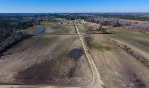 Photo of 201 Acres of Farm and Hunting Land For Sale in Pitt County NC!