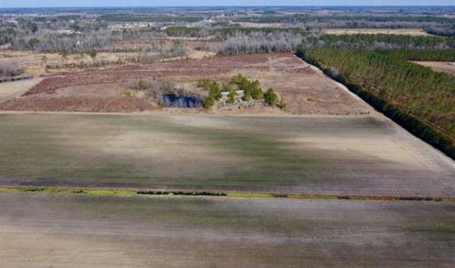 Photo of 201 Acres of Farm and Hunting Land For Sale in Pitt County NC!