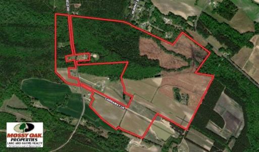 Photo of 201 Acres of Farm and Hunting Land For Sale in Pitt County NC!