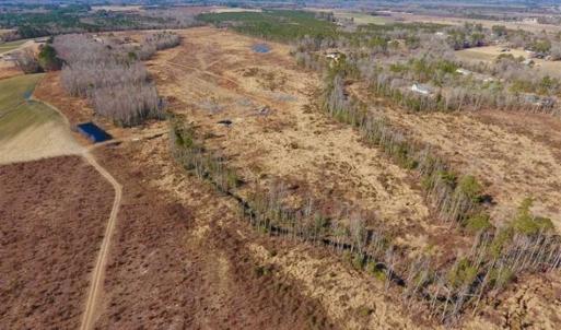 Photo of 201 Acres of Farm and Hunting Land For Sale in Pitt County NC!