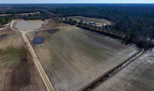 Photo of 201 Acres of Farm and Hunting Land For Sale in Pitt County NC!