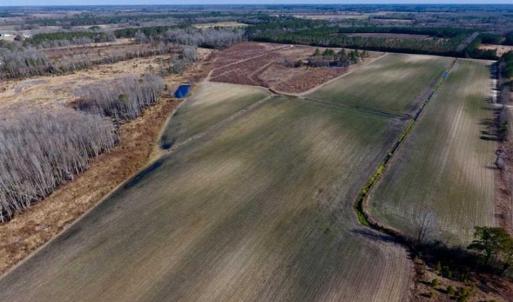 Photo of 201 Acres of Farm and Hunting Land For Sale in Pitt County NC!