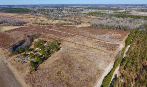 Photo of 201 Acres of Farm and Hunting Land For Sale in Pitt County NC!