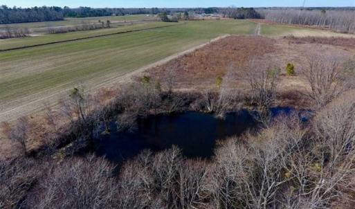 Photo of 201 Acres of Farm and Hunting Land For Sale in Pitt County NC!