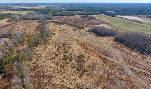 Photo of 201 Acres of Farm and Hunting Land For Sale in Pitt County NC!