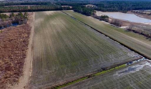 Photo of 201 Acres of Farm and Hunting Land For Sale in Pitt County NC!